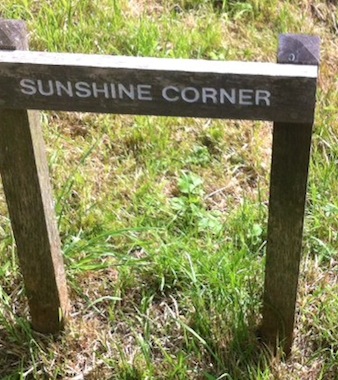 Sunshine_Corner
