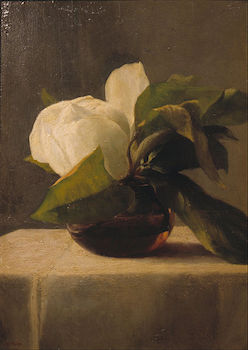 John_LaFarge_Magnolia_1860