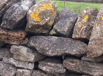 Stone-wall