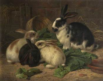 Barber, Alfred R., 1841-1925; Four Rabbits