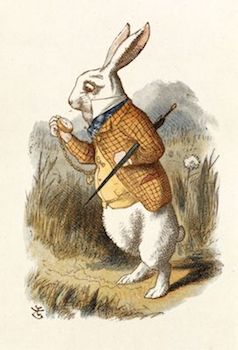 White-Rabbit