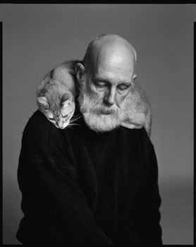 Gorey-Avedon