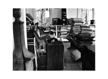 McDermott-Elephant-House