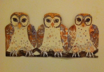 Owls
