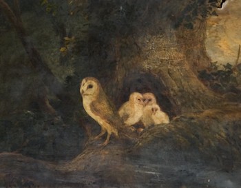 Evening-Landscape-Owls